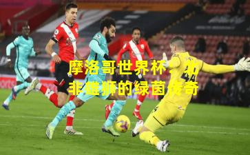 摩洛哥世界杯:北非雄狮的绿茵传奇