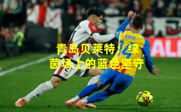 青岛贝莱特:绿茵场上的蓝色坚守