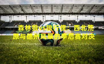 森林狼vs独行侠:西北荒原与德州风暴的季后赛对决